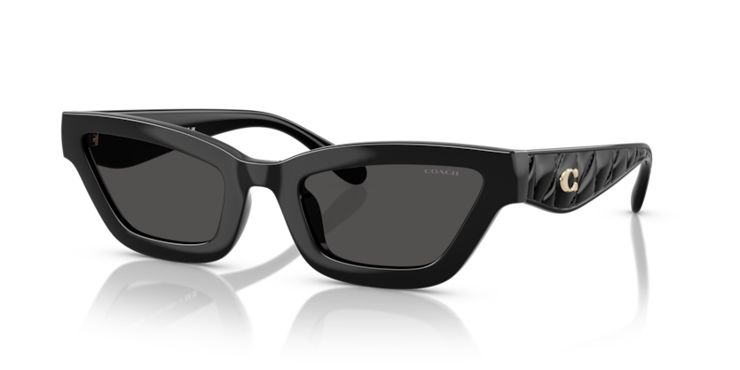 Coach HC8420U Cad28 Sunglasses