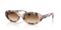 Ray-Ban RB2223  Sunglasses