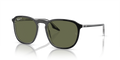 Ray-Ban RB2203F  Sunglasses