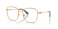 Swarovski SK1036  Eyeglasses