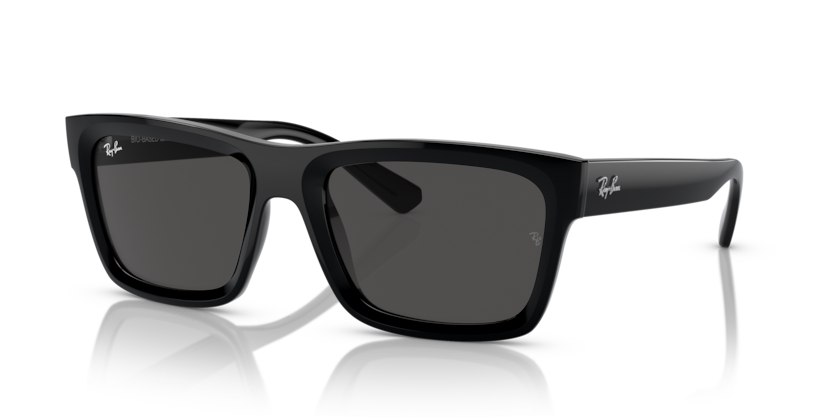 Ray-Ban RB4396F Warren Sunglasses