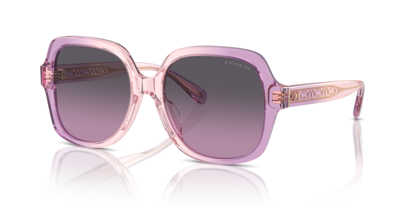 Coach HC8395U Cr614 Sunglasses
