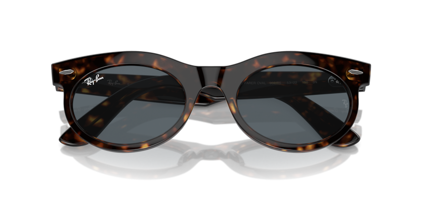 Ray-Ban RB2242F Wayfarer Oval Sunglasses