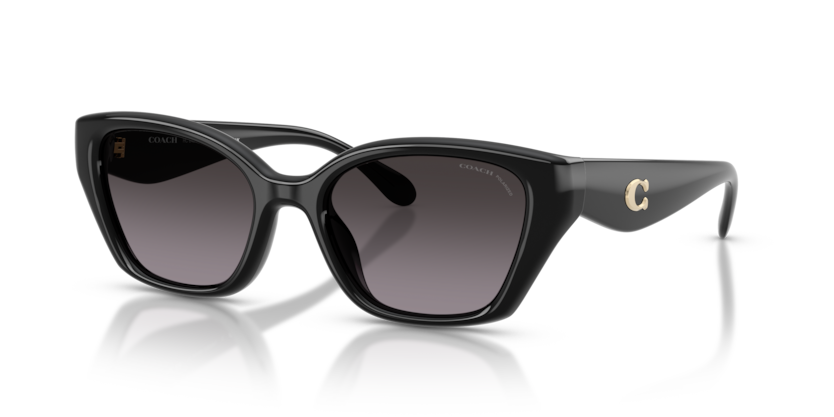 Coach HC8434U Cby91 Sunglasses