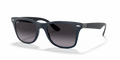 Ray-Ban RB4195 Wayfarer Liteforce Sunglasses