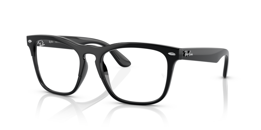 Ray-Ban Vista RX4487V Steve Eyeglasses