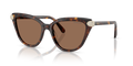 Swarovski SK6039  Sunglasses