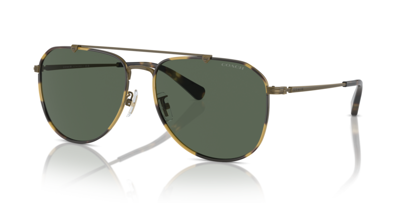 Coach HC7164 Cr626 Sunglasses