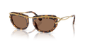 Swarovski SK7026  Sunglasses