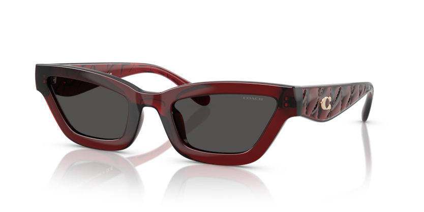 Coach HC8420U Cad28 Sunglasses