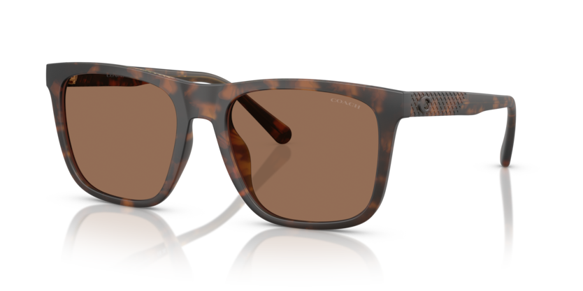 Coach HC8427U Cae78 Sunglasses