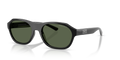 Arnette AN4380  Sunglasses
