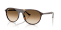 Ray-Ban RB2215  Sunglasses