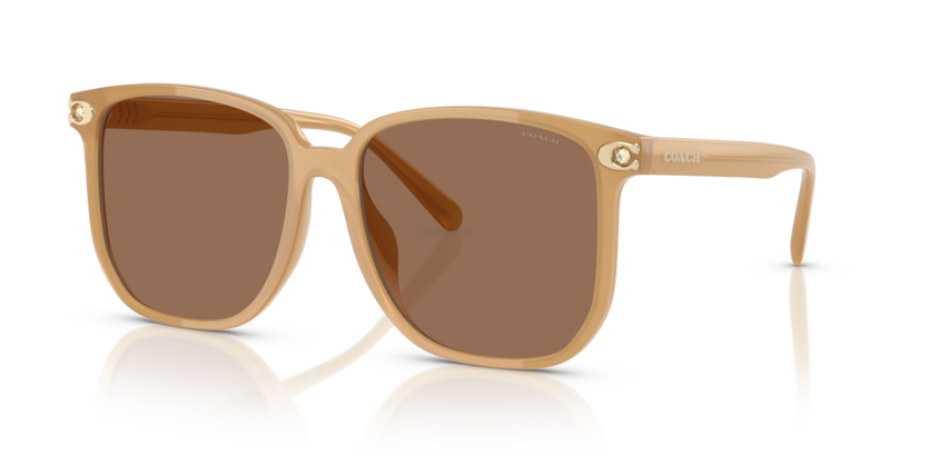 Coach HC8413BD Cw419 Sunglasses