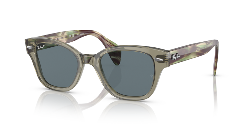 Ray-Ban RB0880S  Sunglasses