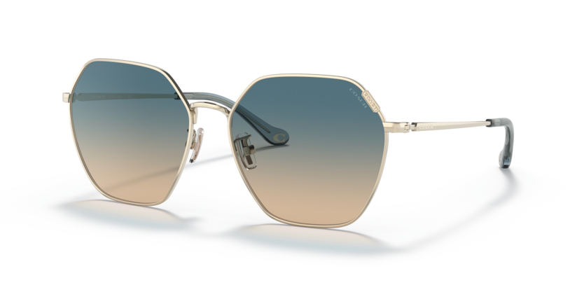 Coach HC7132 C7998 Sunglasses