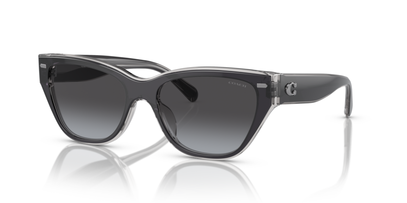 Coach HC8370U Ch570 Sunglasses