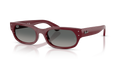Ray-Ban RB2236  Sunglasses