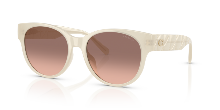 Coach HC8430D Cae87 Sunglasses