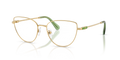 Swarovski SK1007  Eyeglasses