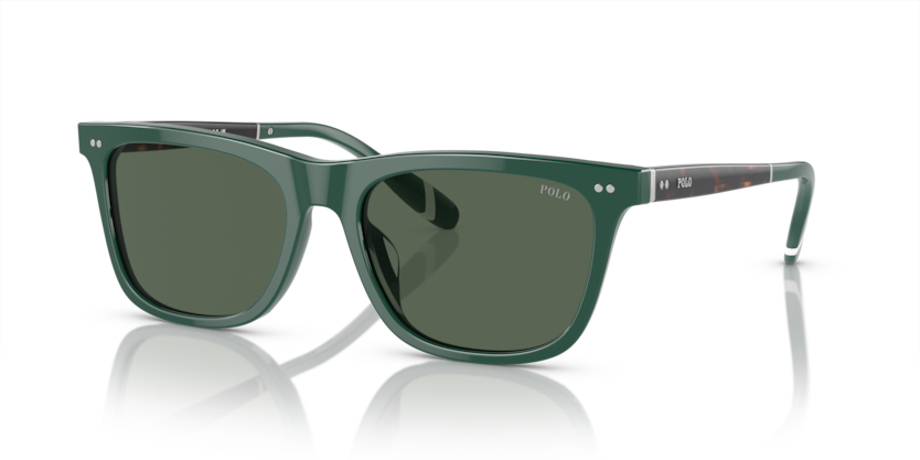 Polo PH4205U  Sunglasses
