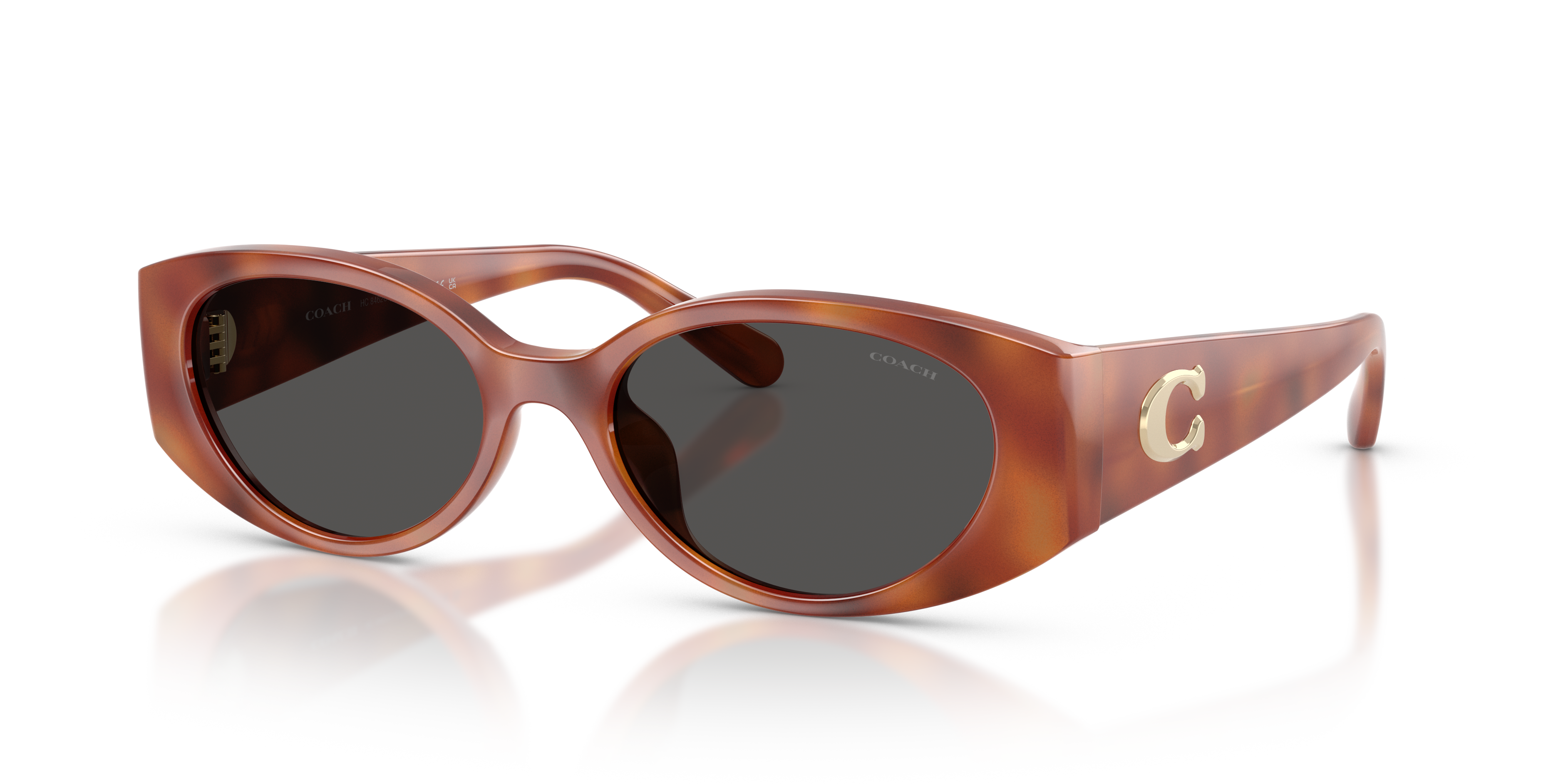 Coach HC8462U Cfu06 Sunglasses