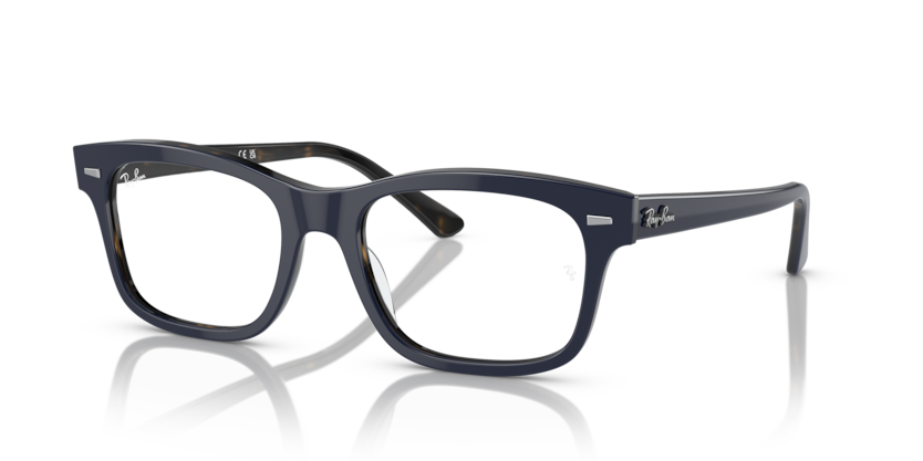 Ray-Ban Vista RX5383 Mr Burbank Eyeglasses