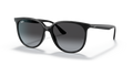Ray-Ban RB4378  Sunglasses