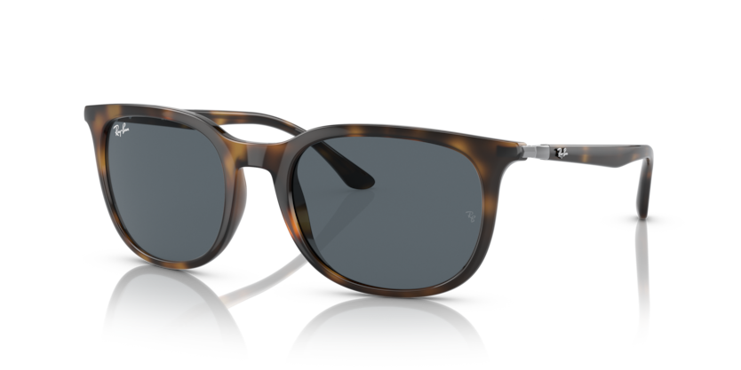 Ray-Ban RB4386  Sunglasses