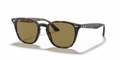 Ray-Ban RB4258  Sunglasses