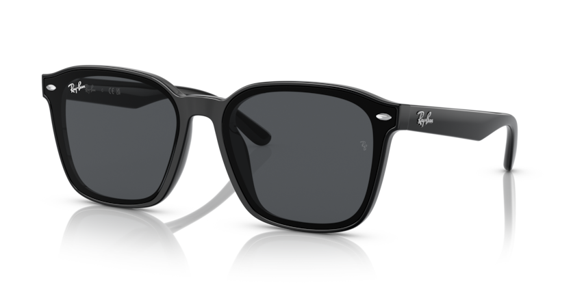 Ray-Ban RB4392D  Sunglasses