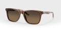 Costa Del Mar 6S2019 Gravels Sunglasses