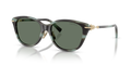Tiffany TF4267F  Sunglasses