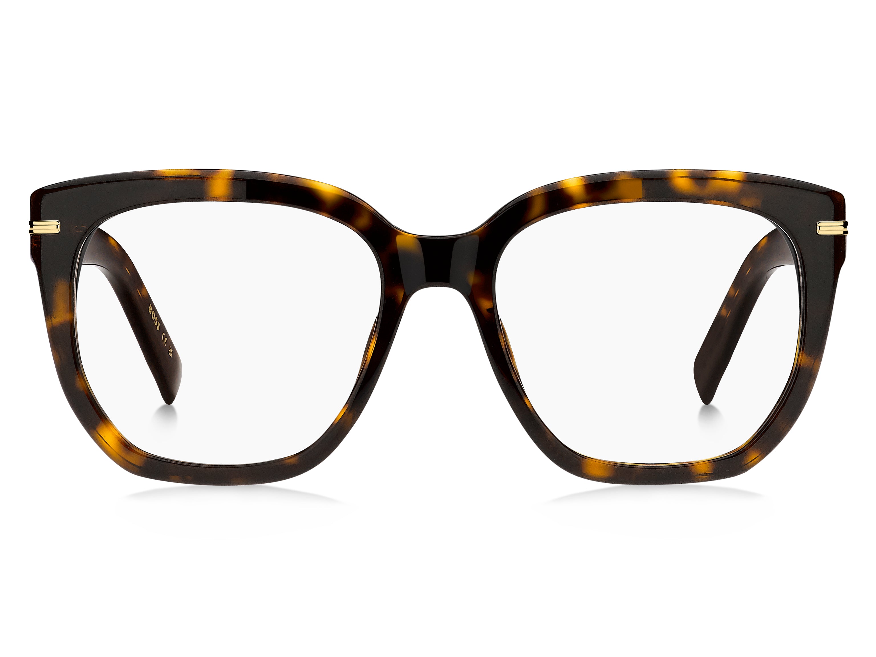 Hugo Boss 1734 Eyeglasses