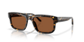 Costa Del Mar 6S2020 Shipwrecks Sunglasses