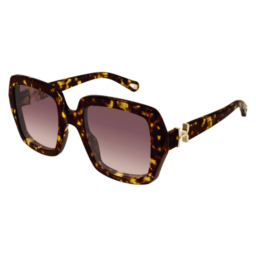 Chloé CH0301S Sunglasses