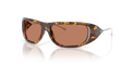 Diesel DL3001  Sunglasses