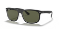 Ray-Ban RB4226  Sunglasses