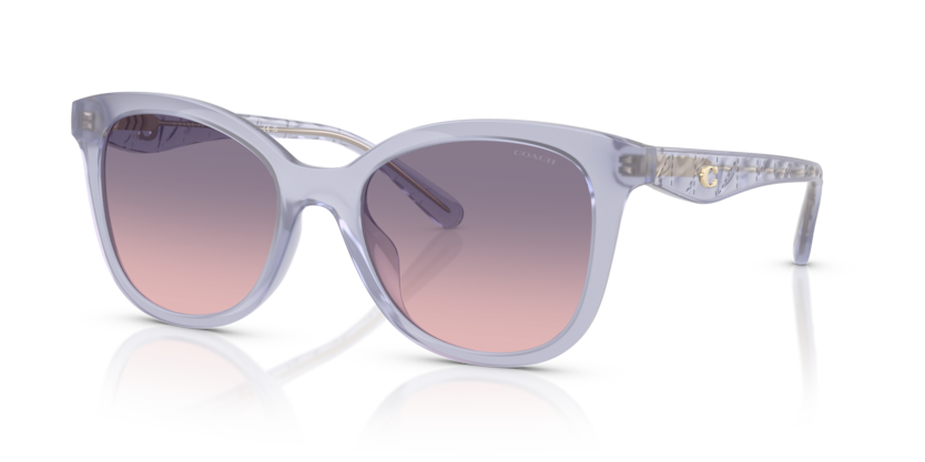 Coach HC8419U Cad25 Sunglasses