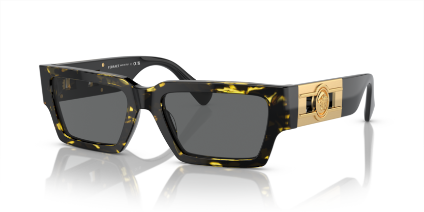 Versace VE4459  Sunglasses