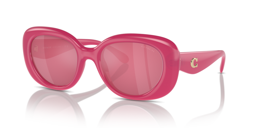 Coach HC8391U Cr609 Sunglasses