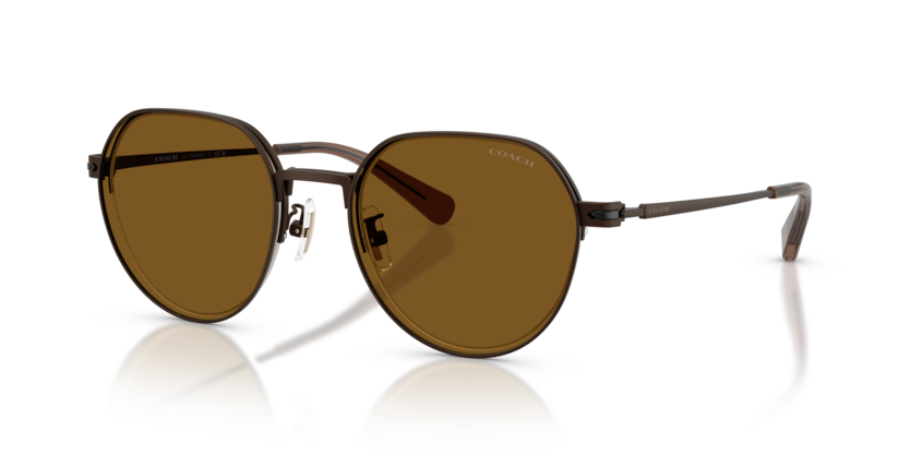Coach HC7179 Cae81 Sunglasses