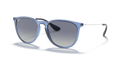 Ray-Ban RB4171 Erika Sunglasses