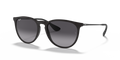 Ray-Ban RB4171F Erika Sunglasses