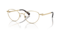 Swarovski SK1002  Eyeglasses