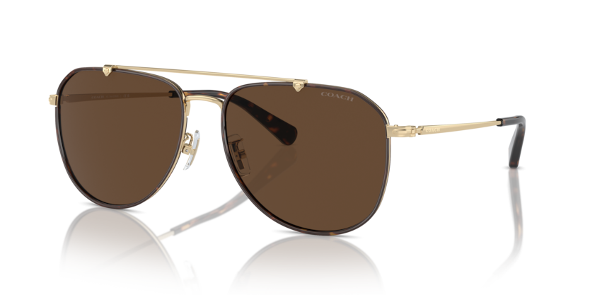 Coach HC7164 Cr626 Sunglasses