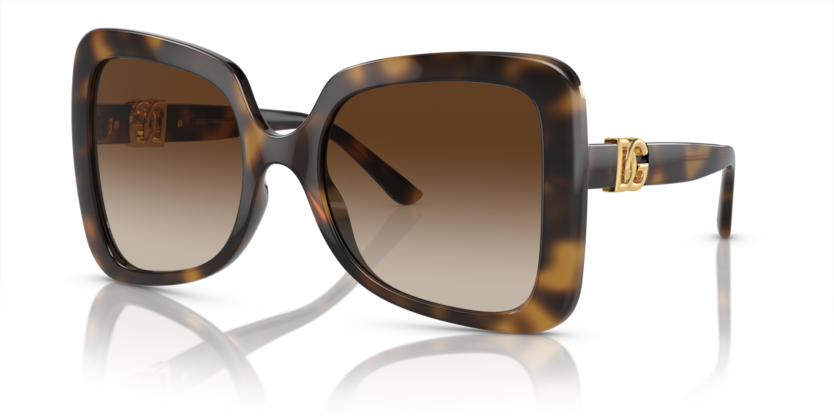 Dolce & Gabbana DG6193U  Sunglasses