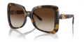 Dolce & Gabbana DG6193U  Sunglasses