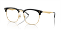 Ray-Ban Vista RX7318D  Eyeglasses