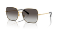 Dolce & Gabbana DG2242  Sunglasses
